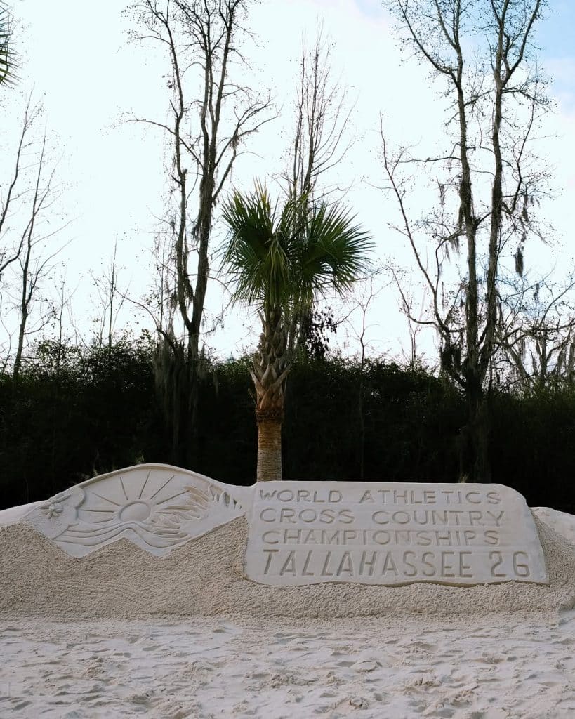 2026 World XC Championships