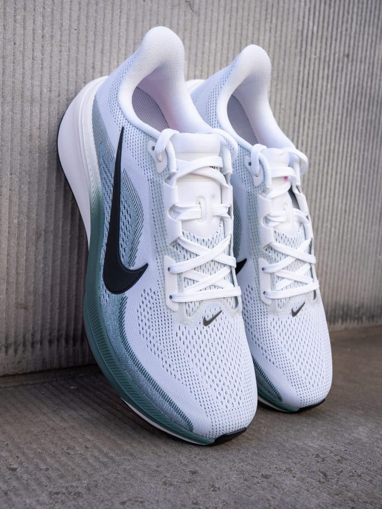Pegasus 42