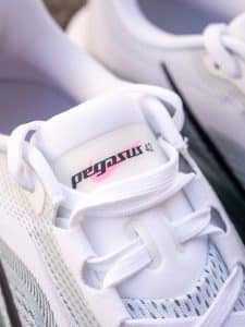 Pegasus 42